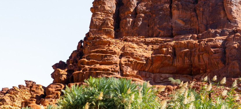 Private Wadi Al Disah Adventure with Pick-Up from Tabuk