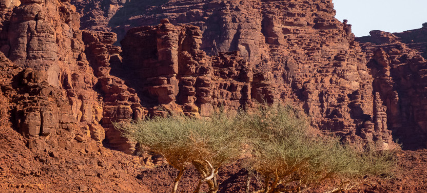 Private Wadi Al Disah Adventure with Pick-Up from Tabuk