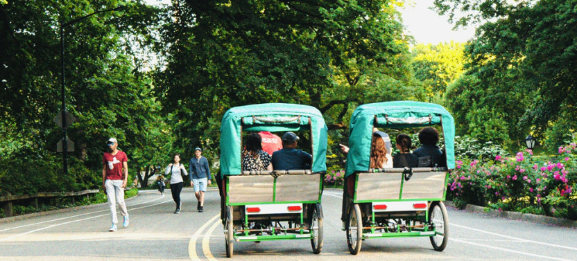 Deluxe Pedicab Tour of Central Park Landmarks & Hidden Gems