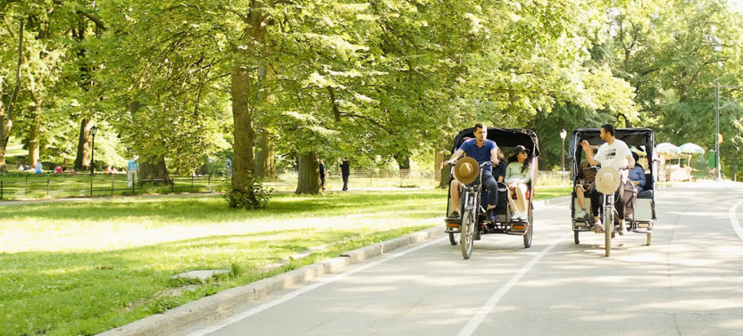 2-Hour Central Park Movie Locations and Celebrity Homes Guided Tour