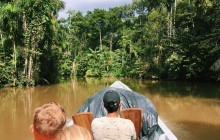 4-Day Cuyabeno National Park Tour From Lago Agrio
