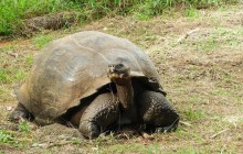 4-Day Classic Galapagos Island Hopping
