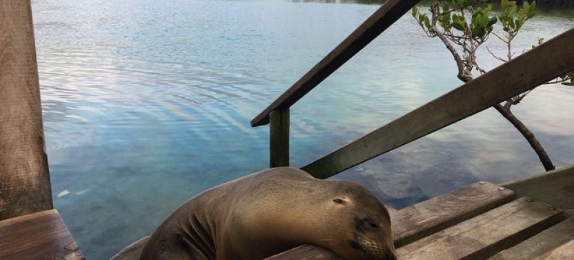 6 Day Classic Galapagos Island Hopping: Kayaking, Mountain Biking & Volcano