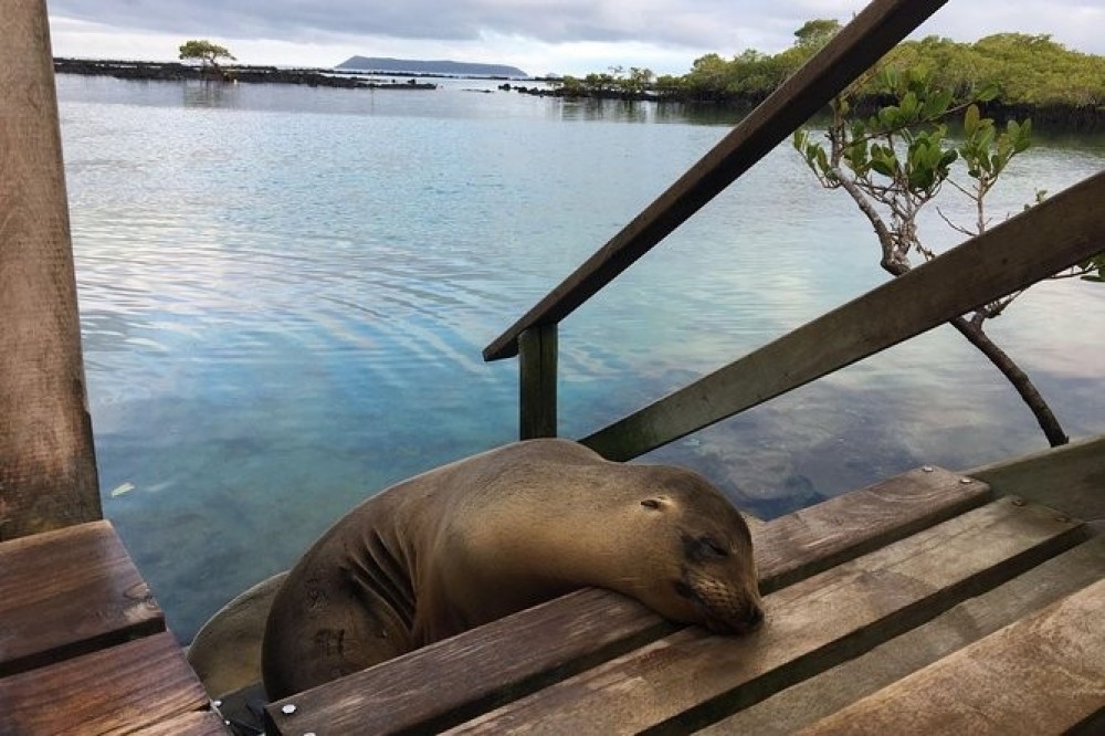 6 Day Classic Galapagos Island Hopping: Kayaking, Mountain Biking & Volcano