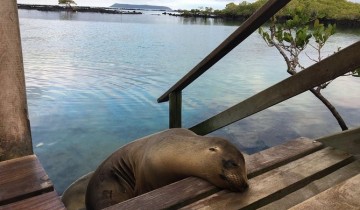 A picture of 6 Day Classic Galapagos Island Hopping: Kayaking, Mountain Biking & Volcano