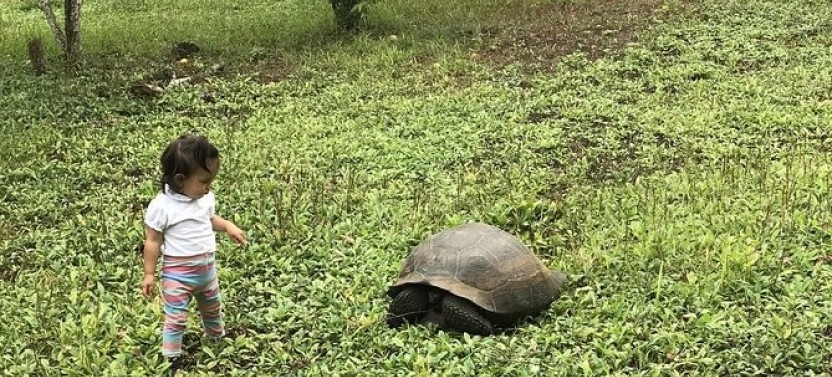6 Day Classic Galapagos Island Hopping: Kayaking, Mountain Biking & Volcano