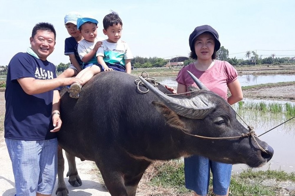 Small Group Hoi An Countryside Tour