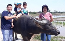 Hoian Eco Coconut Tour1