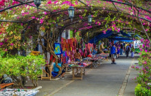 Panamanian Adventures8