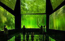 Panamanian Adventures2