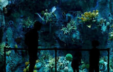 Panamanian Adventures3