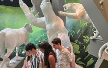 Panamanian Adventures5