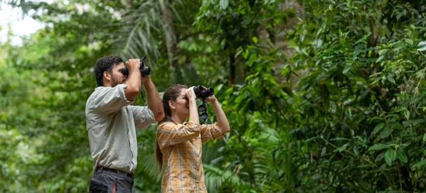 Highlights of Birdwatching and Nature in the Pipeline Road Private Tour