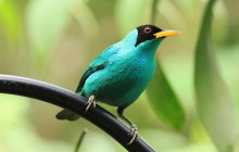 Panamanian Adventures3