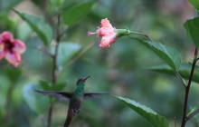 Panamanian Adventures4