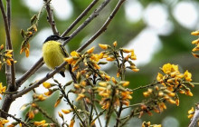 Panamanian Adventures5