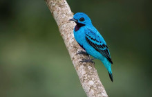 Panamanian Adventures6