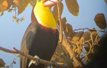 Panamanian Adventures8