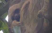 Panamanian Adventures9