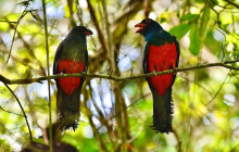 Panamanian Adventures7