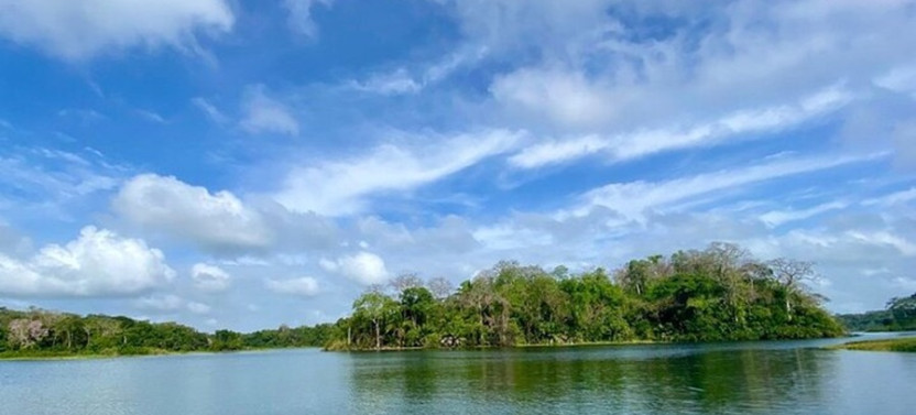 Monkey Watch and Gatun Lake Wildlife Safari Private Tour