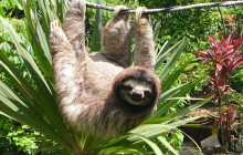 Panamanian Adventures8