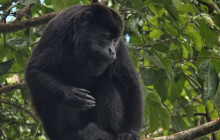 Panamanian Adventures4