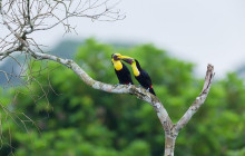 Panamanian Adventures5