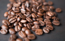 Panamanian Adventures12