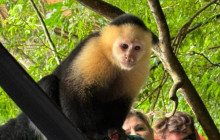 Panamanian Adventures14