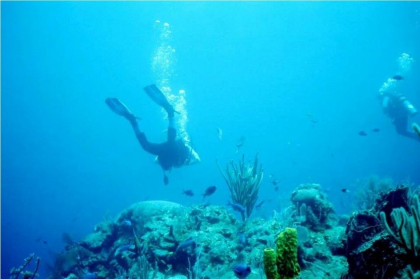 Open Water Referral