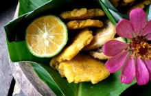 Panamanian Adventures5