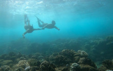 Holo Holo Charters11