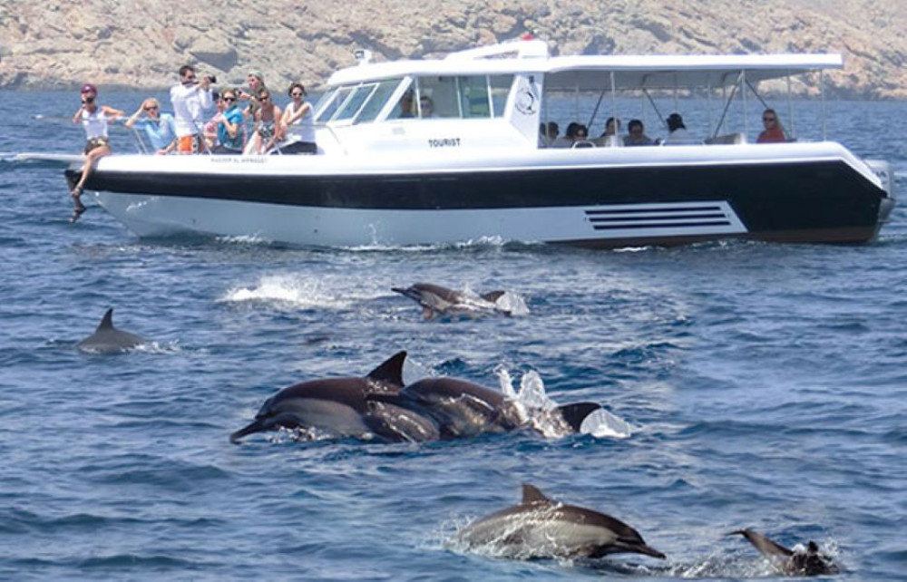 Muscat: Dolphin Watching & Coastal Sightseeing