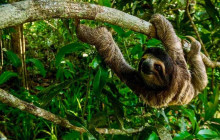 Panamanian Adventures5