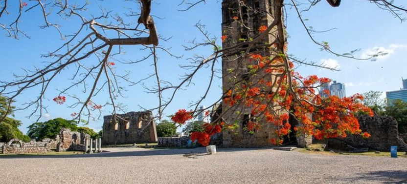 Exploring Panama La Vieja Hidden Treasures of the Ancient City Private Tour
