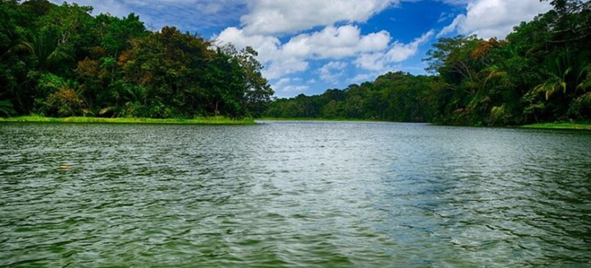 Gatun Lake Wildlife Safari Expedition and Miraflores Canal Locks