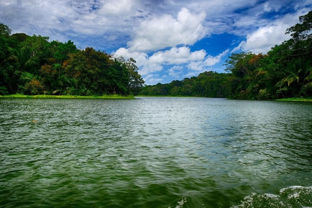 Gatun Lake Wildlife Safari Expedition and Miraflores Canal Locks