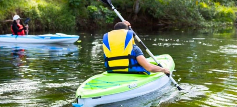 Extreme Adventures: Kayak and Canopy in Colon Private Tour
