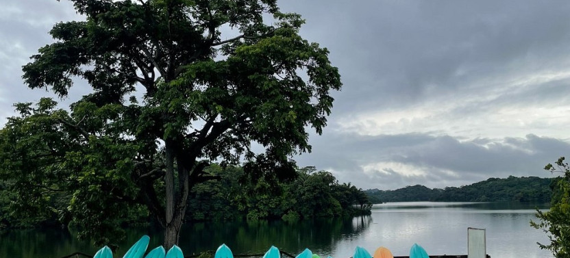 Extreme Adventures: Kayak and Canopy in Colon Private Tour