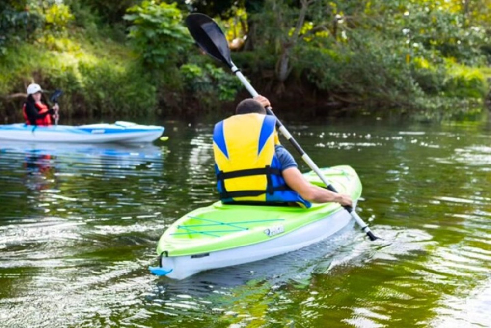 Private Extreme Adventures: Kayak and Canopy in Colon Private Tour