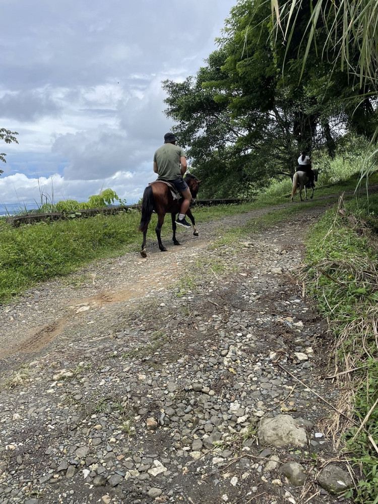 Kayaking Horseback Ride Hiking and Canopy Caribbean Private Tour
