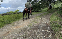 Panamanian Adventures1