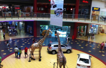 Panamanian Adventures4