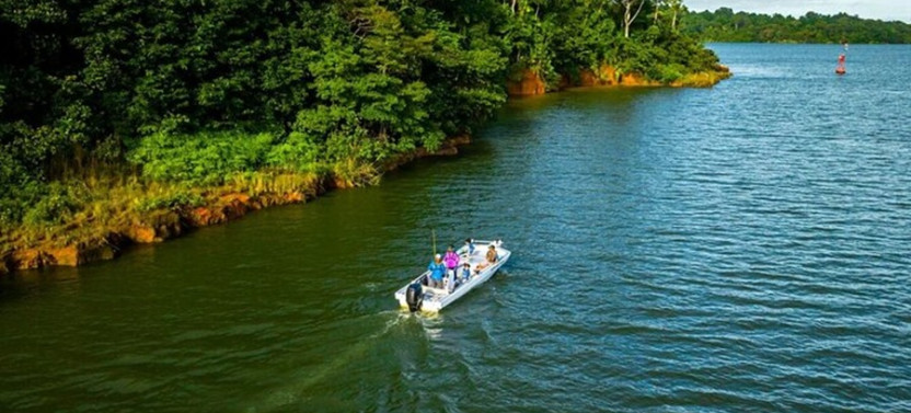 Birdwatching on Boat through Gatun Lake Private Tour