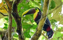 Panamanian Adventures6