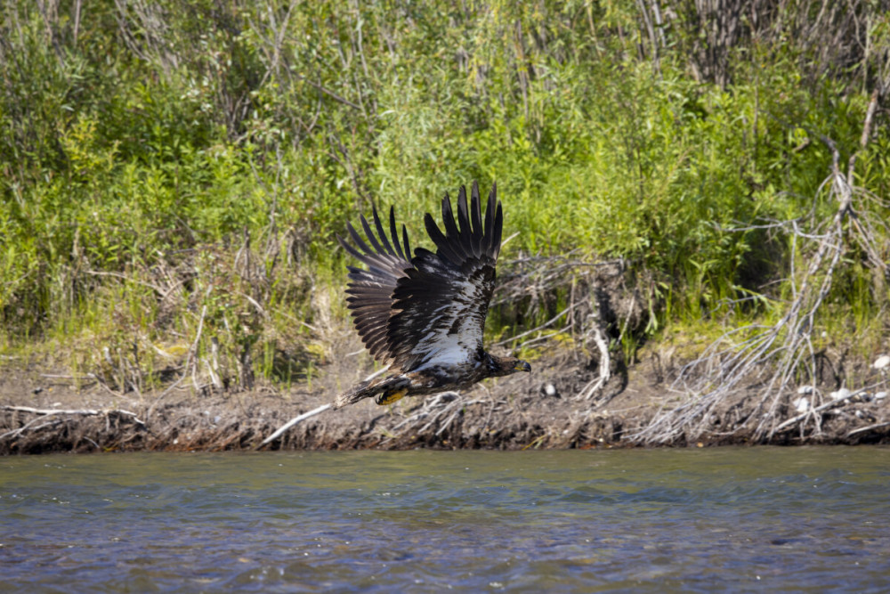 Dave Hansen River Trips