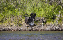 Dave Hansen River Trips3