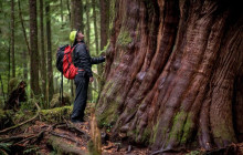 Cove adventure tours1