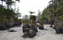 Cove adventure tours4